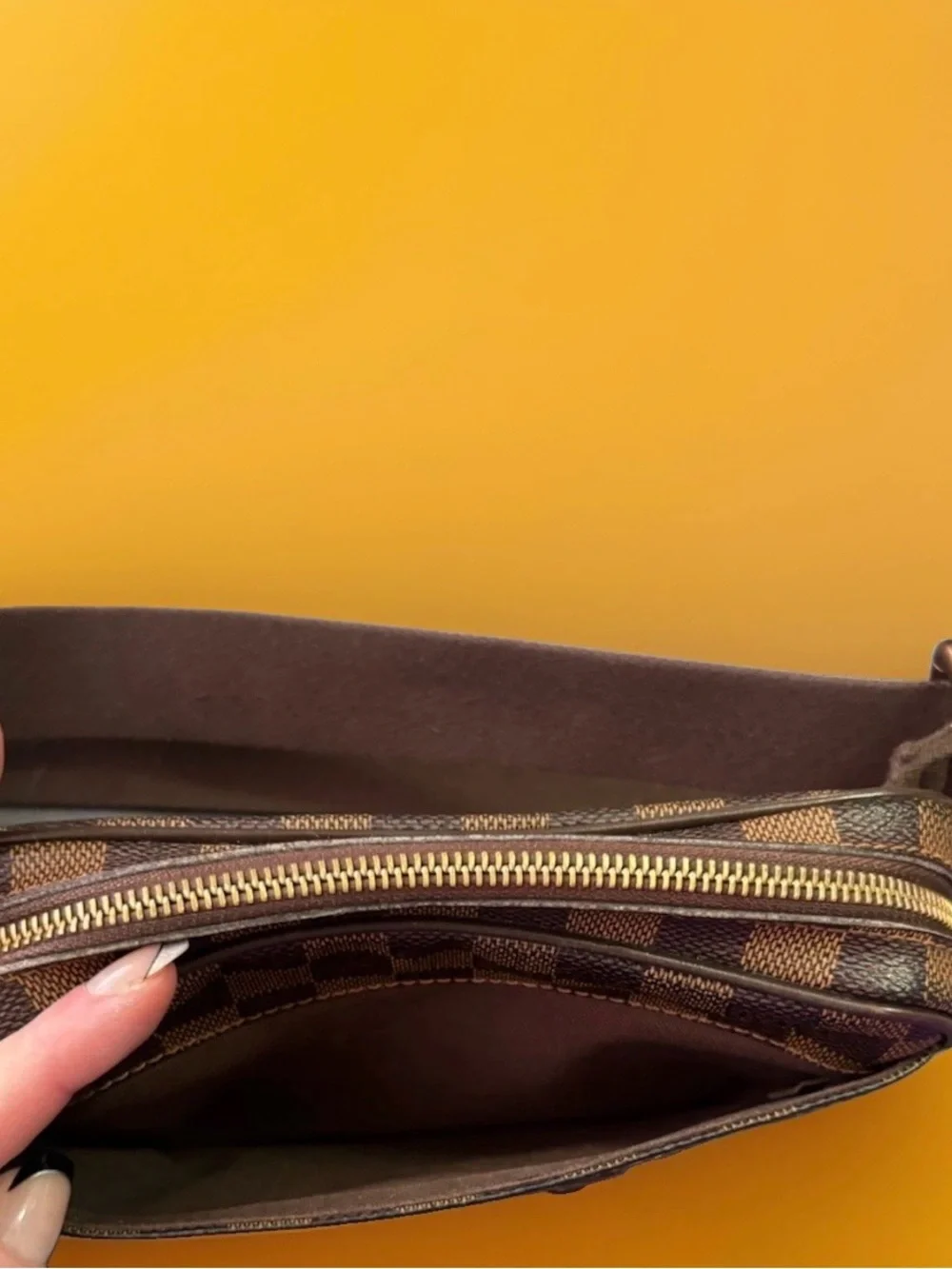Louis Vuitton brooklyn bum
